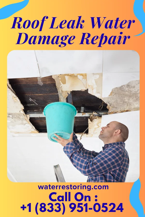 Roof Leak Water Damage Repair in New Haven, CT